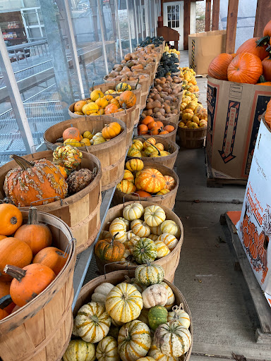 Produce Market «E Draghi & Son Farm Stand», reviews and photos, 86 Main St, South Glastonbury, CT 06073, USA