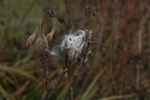 Park «Walter & Mary Burke Park», reviews and photos, 36300 Front St, New Baltimore, MI 48047, USA
