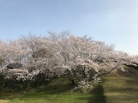 京見塚公園
