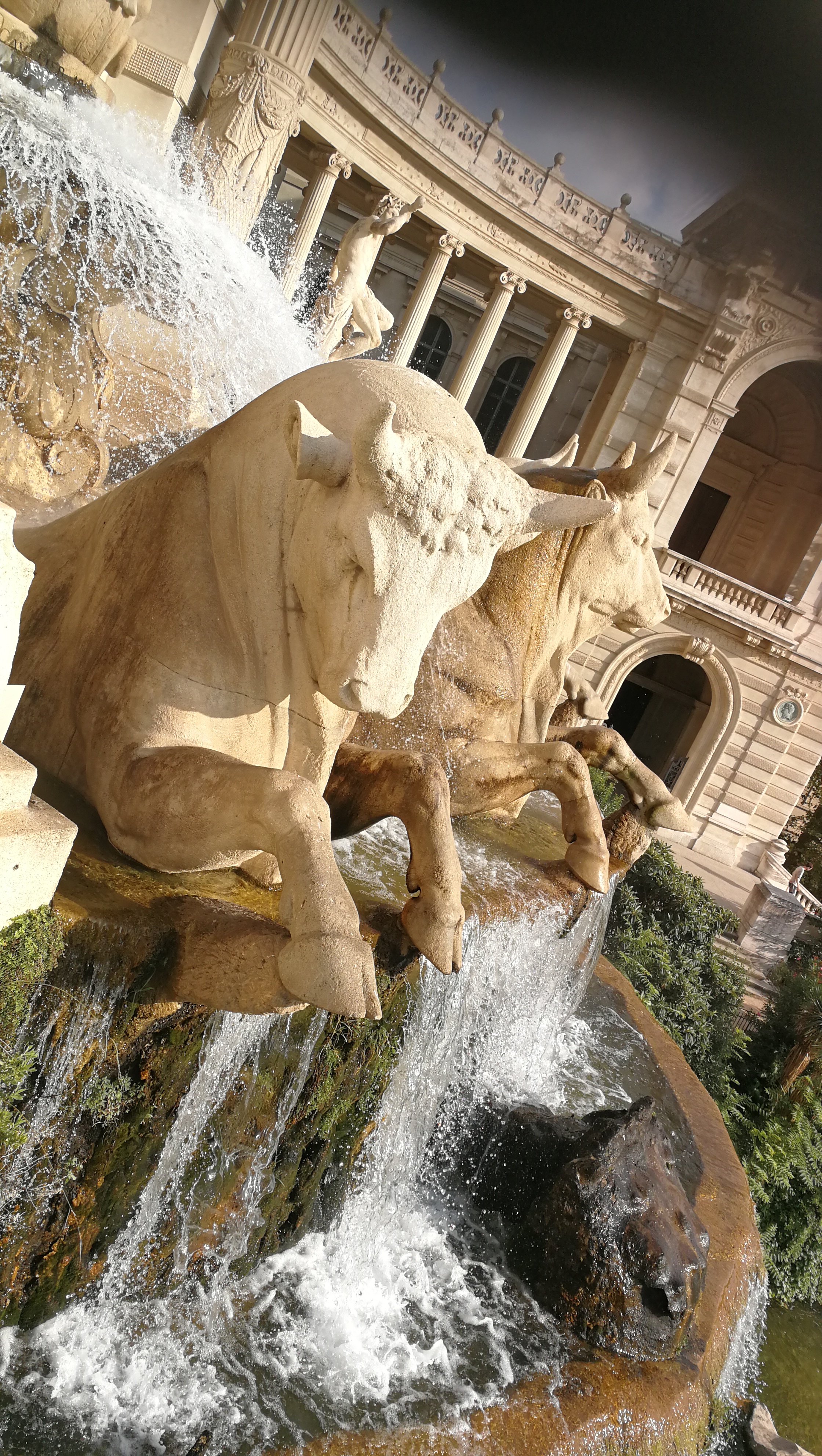 Photo n° 2 de l'avis de Valie.M fait le 26/08/2021 à 16:51