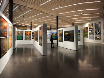 Centre d'art - Fondation Opale