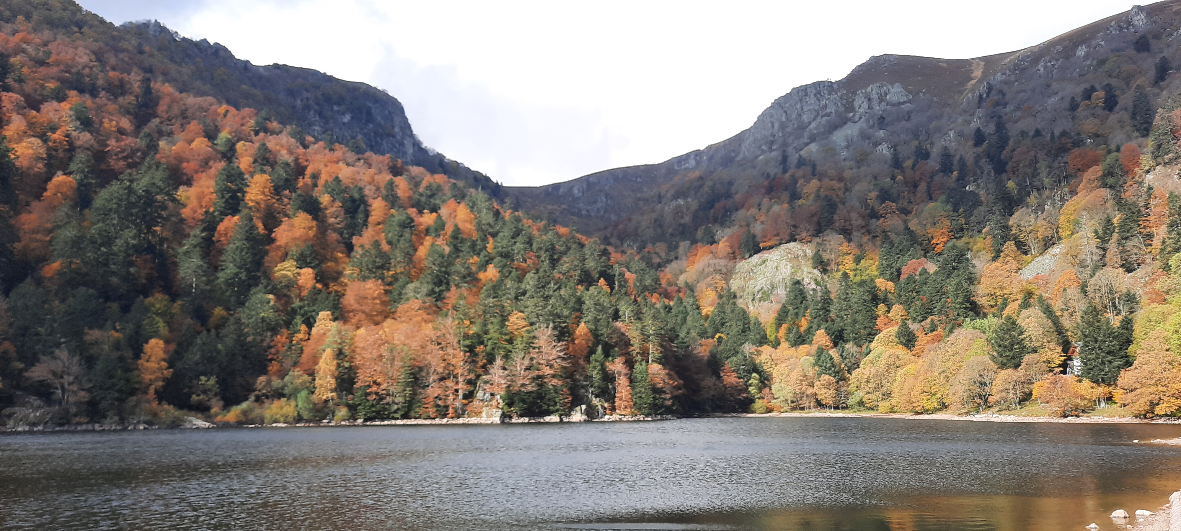 Photo n° 4 de l'avis de Claude.h fait le 24/10/2020 à 14:19