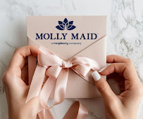 Molly Maid of Reno Sparks - Photo 3 - Car repair in Sparks, NV, Reno