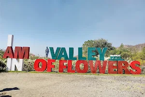 Valley of Flowers image