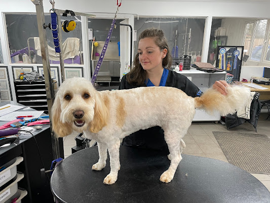 Puppaloops Dog Grooming