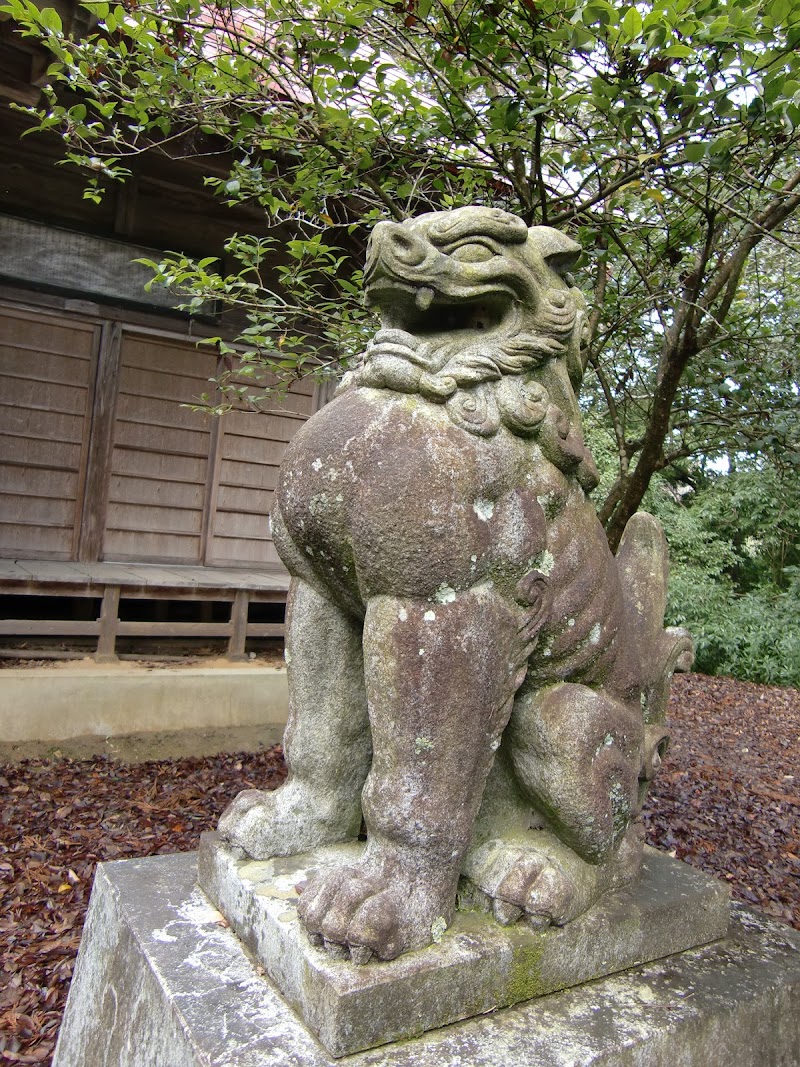 八幡神社の大杉