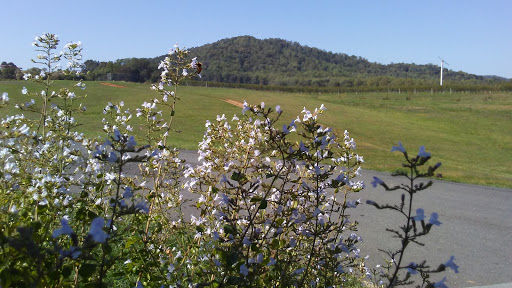 Vineyard «Early Mountain Vineyards», reviews and photos, 6109 Wolftown-Hood Rd, Madison, VA 22727, USA