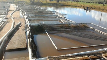 Jamberoo Aquaculture