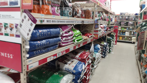 Home Improvement Store «Tractor Supply Co.», reviews and photos, 100 W Ardice Ave #1, Eustis, FL 32726, USA