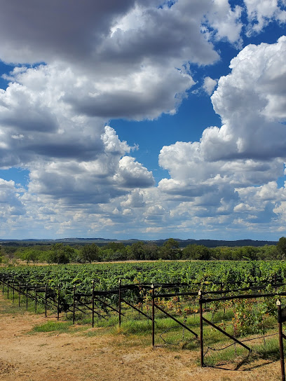 HILL COUNTRY WINE TOURS LLC