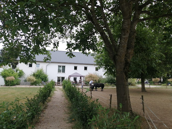 Photos des visiteurs Ferienwohnung Eifel-Apartments Orsfeld 54655 Orsfeld