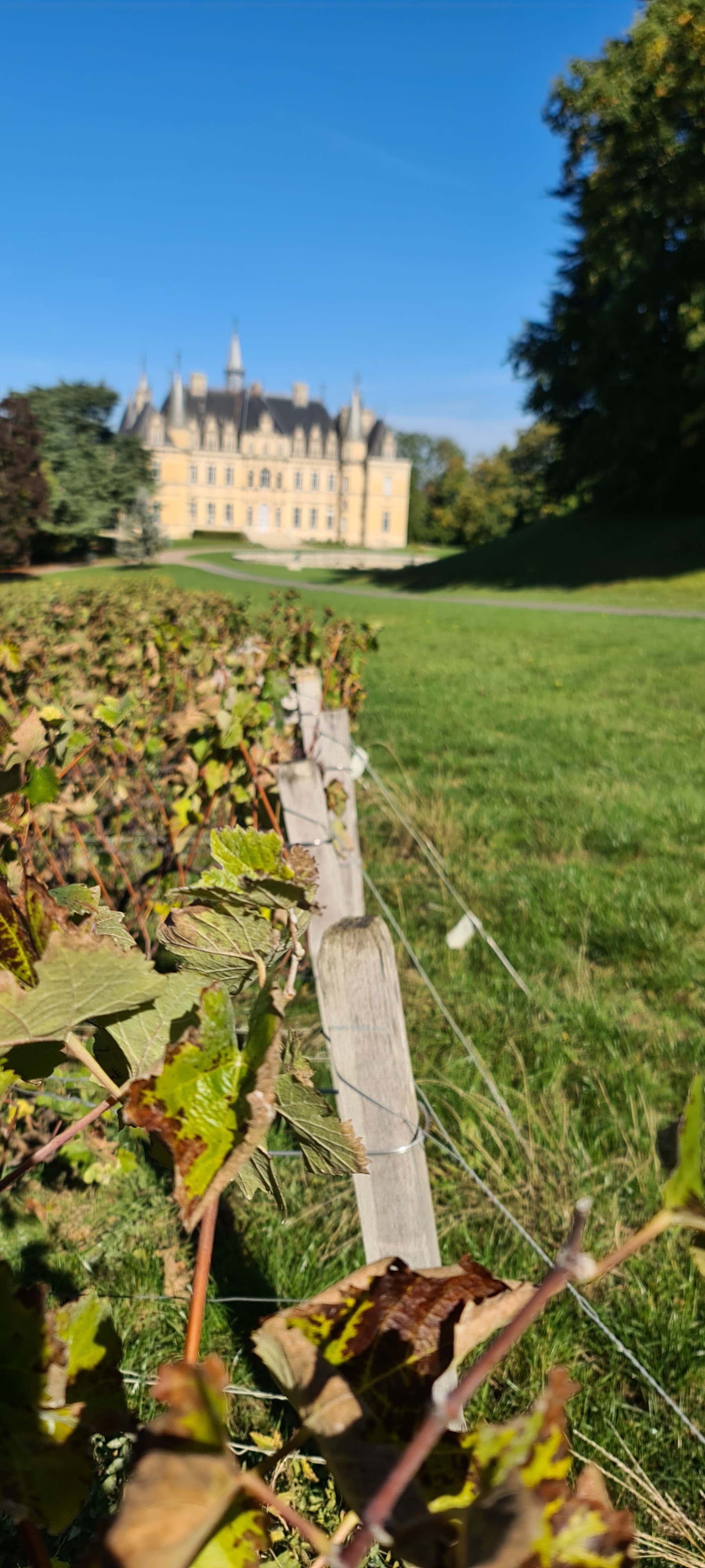 Photo n° 49 de l'avis de V... fait le 04/10/2022 à 16:31