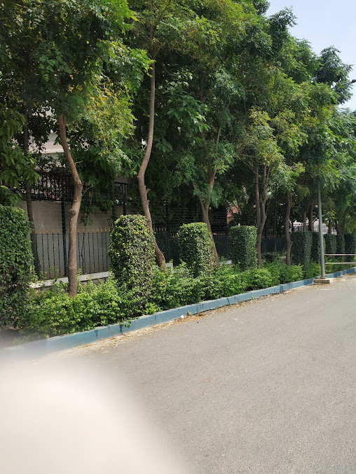 Google Maps image 18