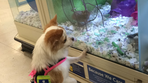 Pet Supply Store «PetSmart», reviews and photos, 240 N Gates Dr, Bloomington, IN 47404, USA