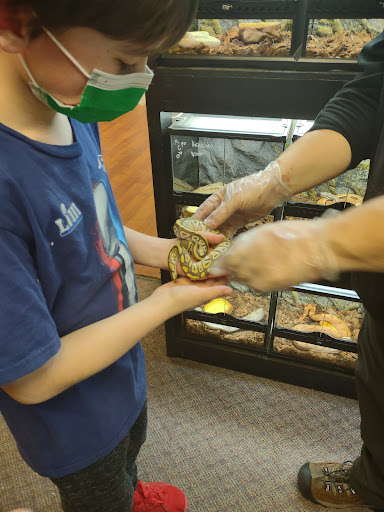 Reptile Store «CV Exotics», reviews and photos, 320 Sandown Rd, East Hampstead, NH 03826, USA