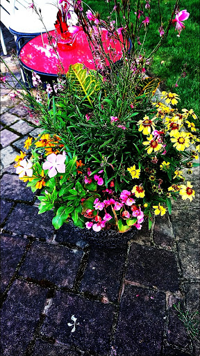 Ski Shop «Sundown Ski & Patio», reviews and photos, 3060 Middle Country Rd, Lake Grove, NY 11755, USA