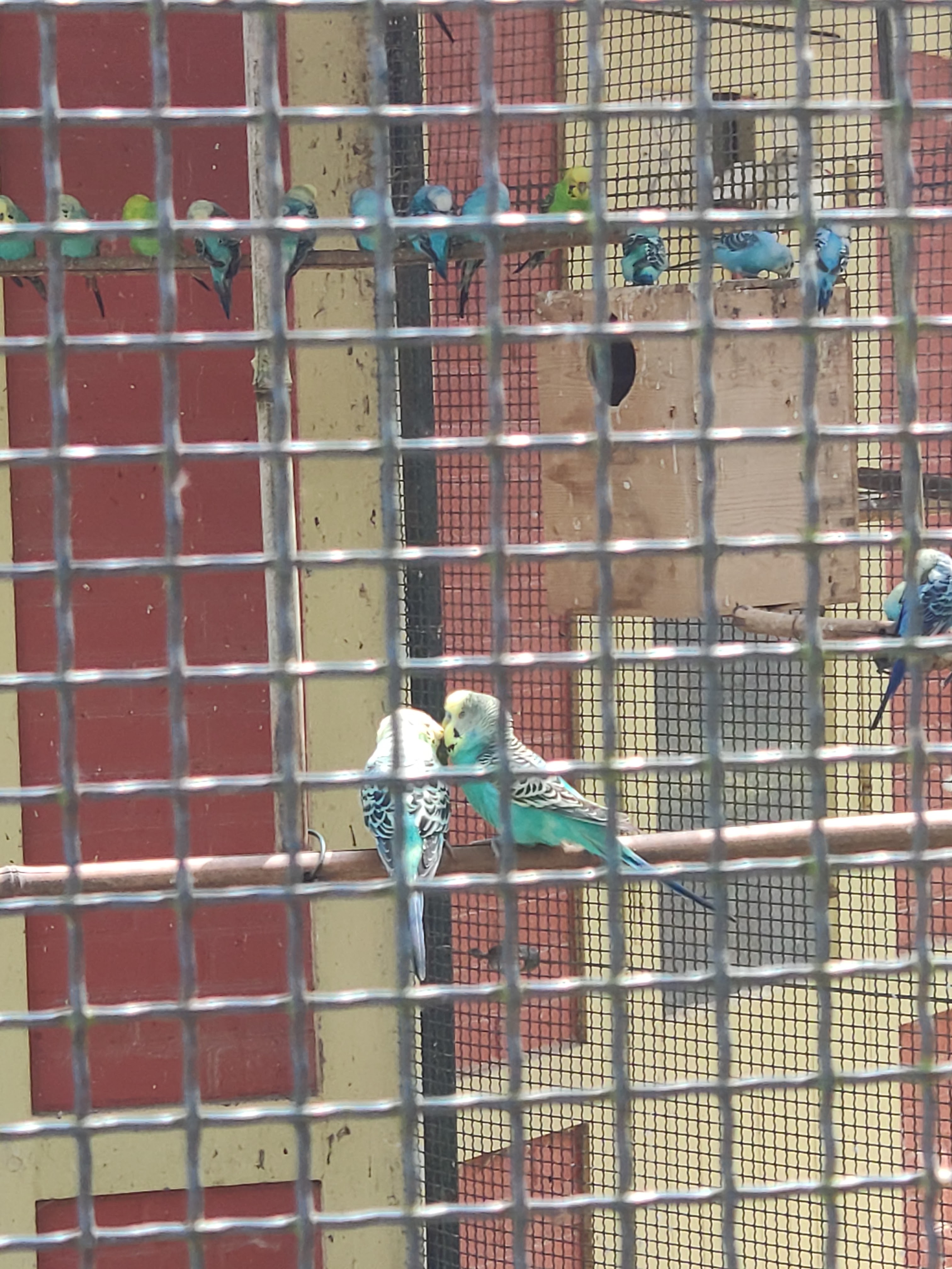 Photo n° 9 de l'avis de Hélène.h fait le 23/04/2019 à 10:48