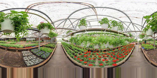 Florist «Powell the Florist», reviews and photos, 1215 Liberty Dr, Mishawaka, IN 46545, USA