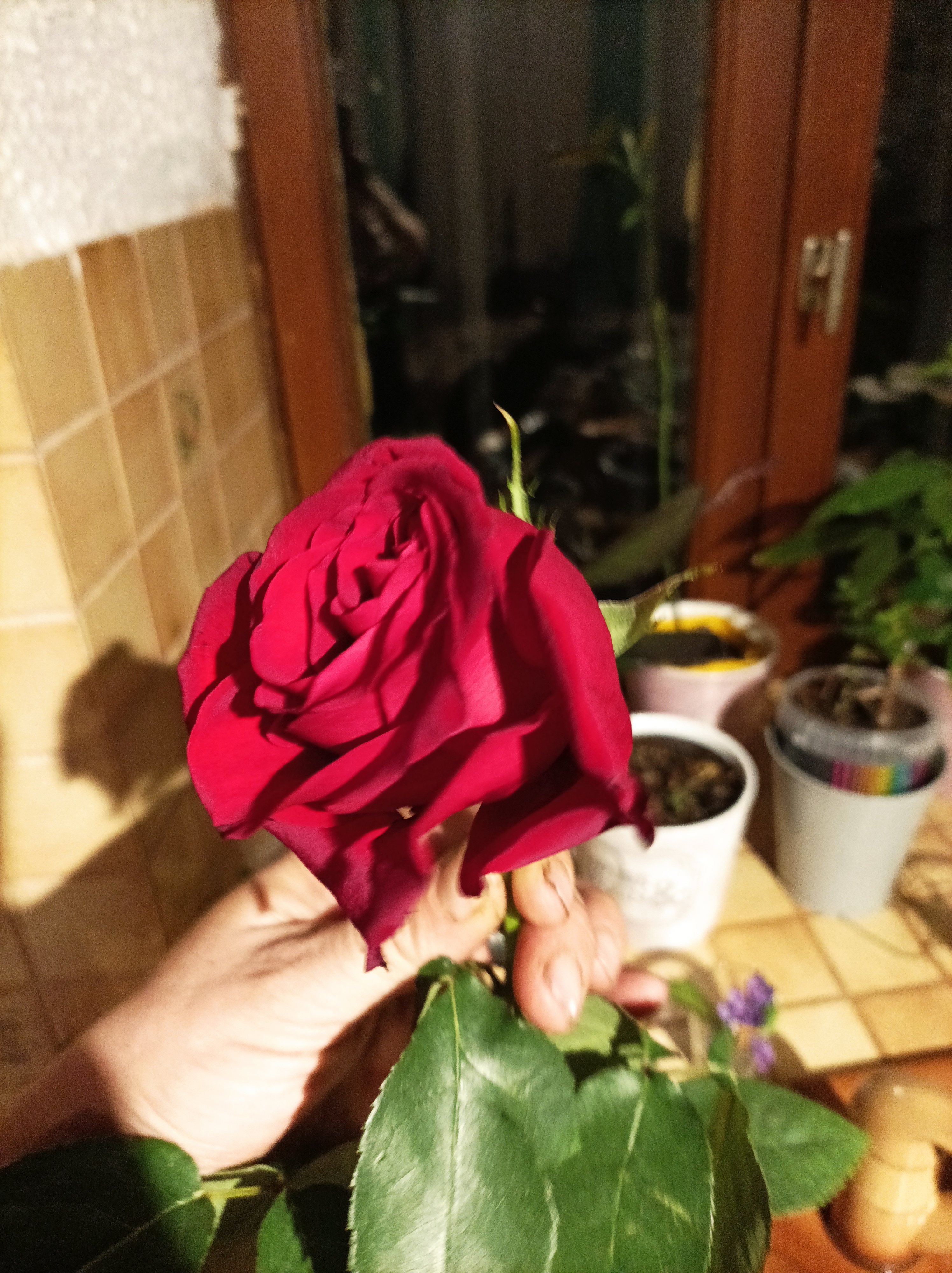 Photo n° 1 de l'avis de Jona.o fait le 15/02/2023 à 19:30