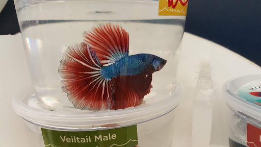 Pet Supply Store «Petco Animal Supplies», reviews and photos, 2373 W Ridge Rd, Greece, NY 14626, USA