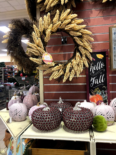 Home Goods Store «Christmas Tree Shops», reviews and photos, 28-34 Broadway, Lynnfield, MA 01940, USA