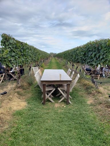 Vineyard «Wölffer Estate Vineyard», reviews and photos, 139 Sagg Rd, Sagaponack, NY 11962, USA