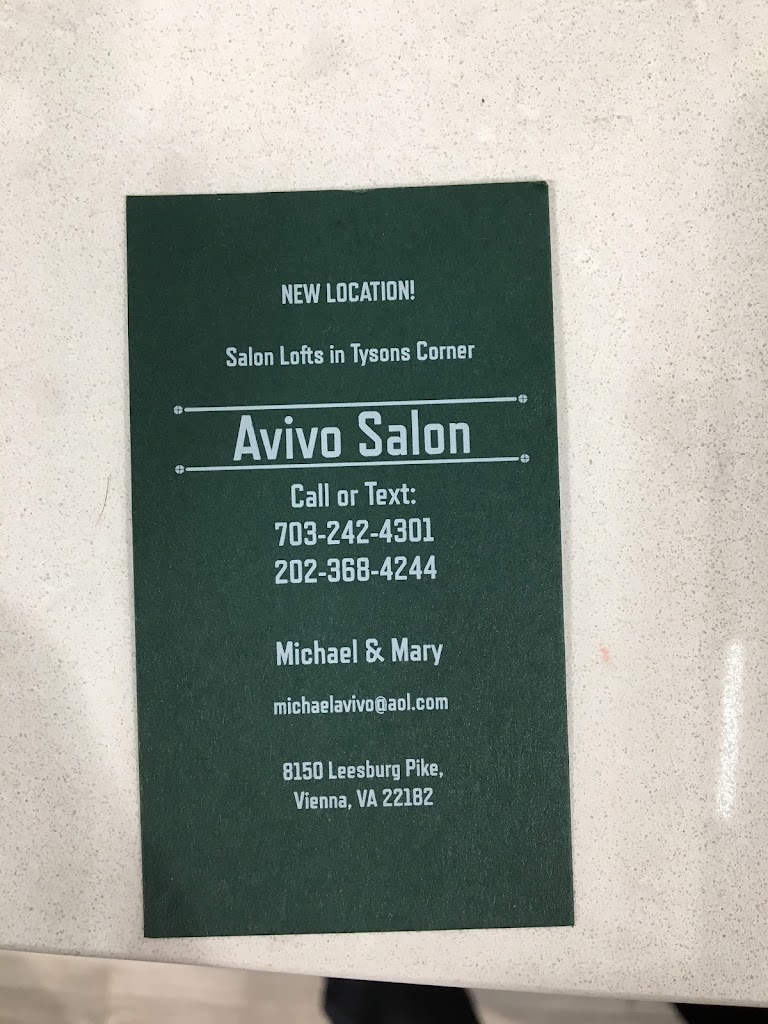 Avivo Salon 22182