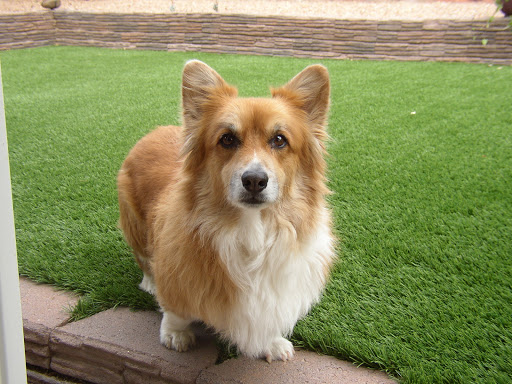 Vaporizer Store «Central Vapors», reviews and photos, 3733 E University Dr #330, McKinney, TX 75069, USA