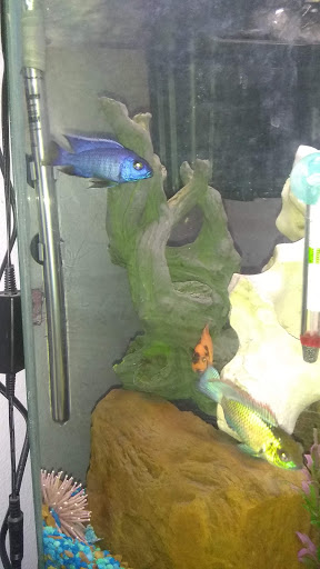 Pet Supply Store «PetSmart», reviews and photos, 45 Park Pl Dr, Covington, LA 70433, USA