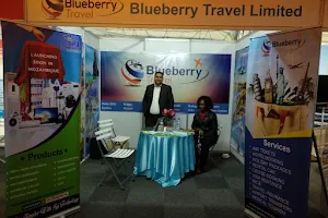 Blueberry Travel Ltd image