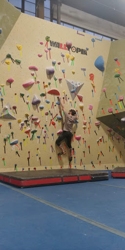 Rock Climbing Gym «Philadelphia Rock Gym - Wyncote», reviews and photos, 827 Glenside Ave #200, Wyncote, PA 19095, USA