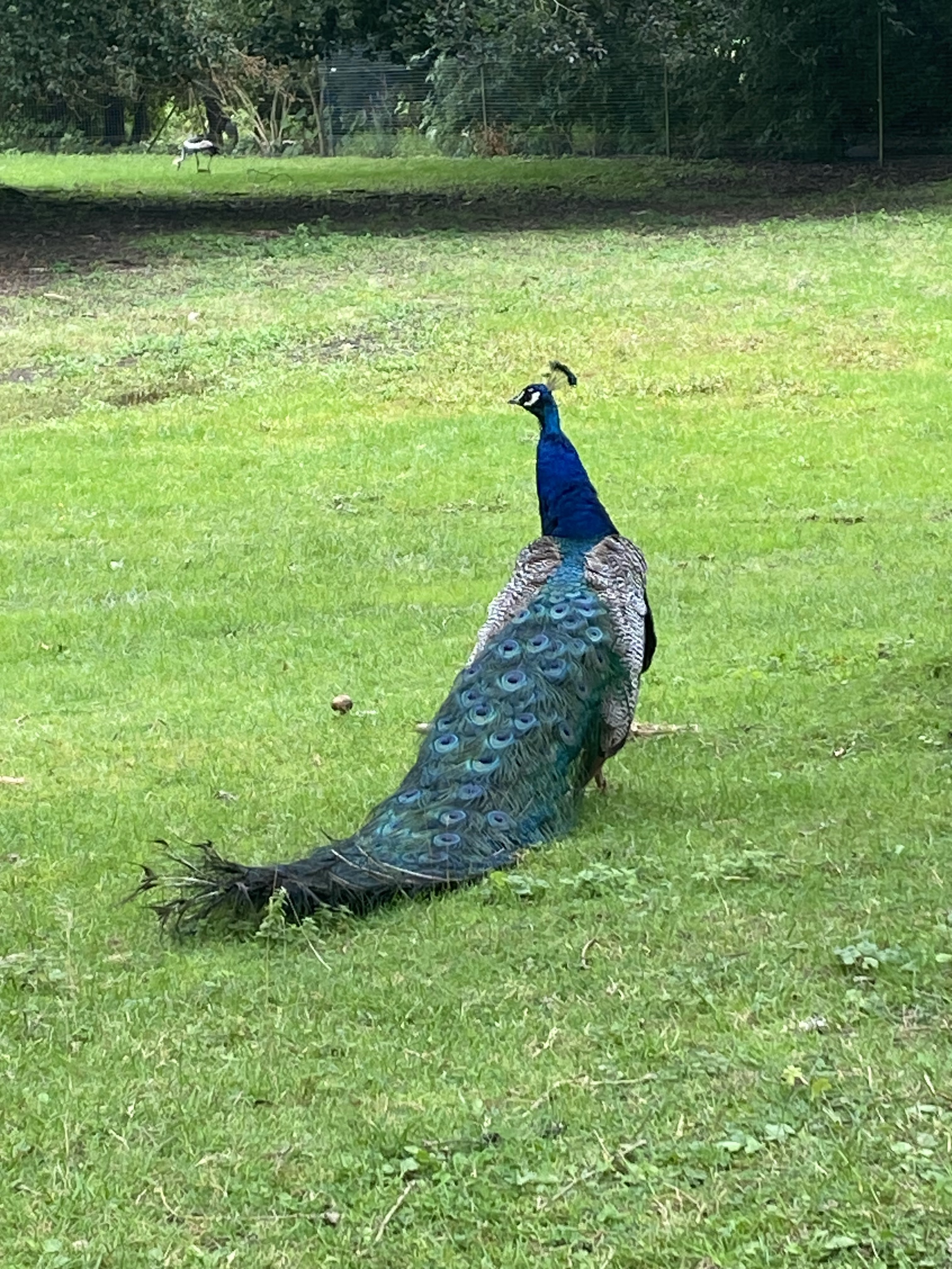 Photo n° 13 de l'avis de Mickael.e fait le 11/08/2023 à 05:54