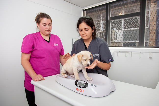 Anexa Vets Gordonton - Veterinarian