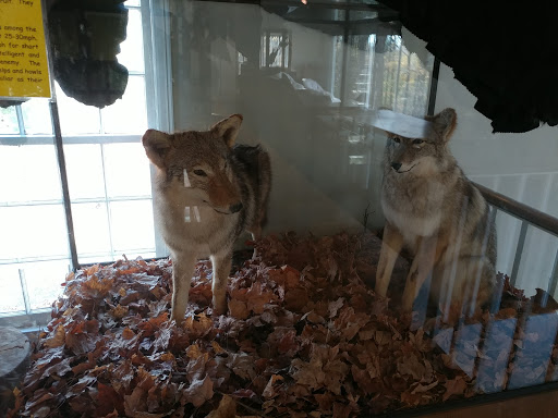 Nature Preserve «Westmoreland Sanctuary», reviews and photos, 260 Chestnut Ridge Rd, Mt Kisco, NY 10549, USA