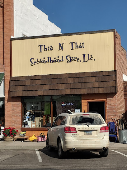 This-N-That Store