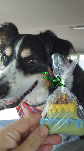 Pet Store «Kosmos Dog House», reviews and photos, 10105 E Vía Linda, Scottsdale, AZ 85258, USA