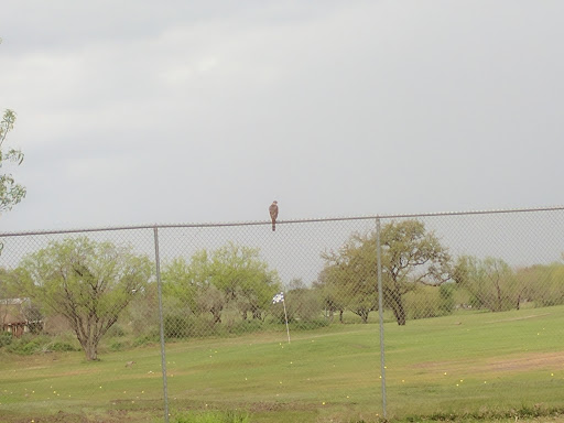 Golf Club «Northern Hills Golf Club», reviews and photos, 13202 Scarsdale, San Antonio, TX 78217, USA