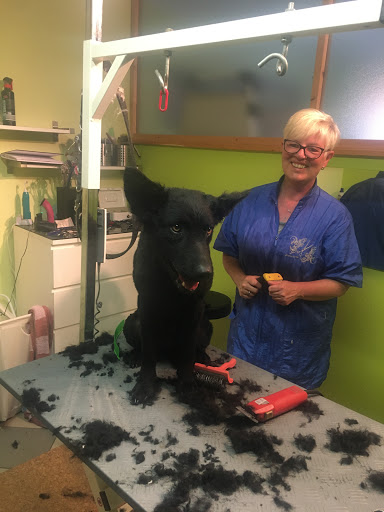 Hundesalon Elke Hahn unter Hüffenhardt, 