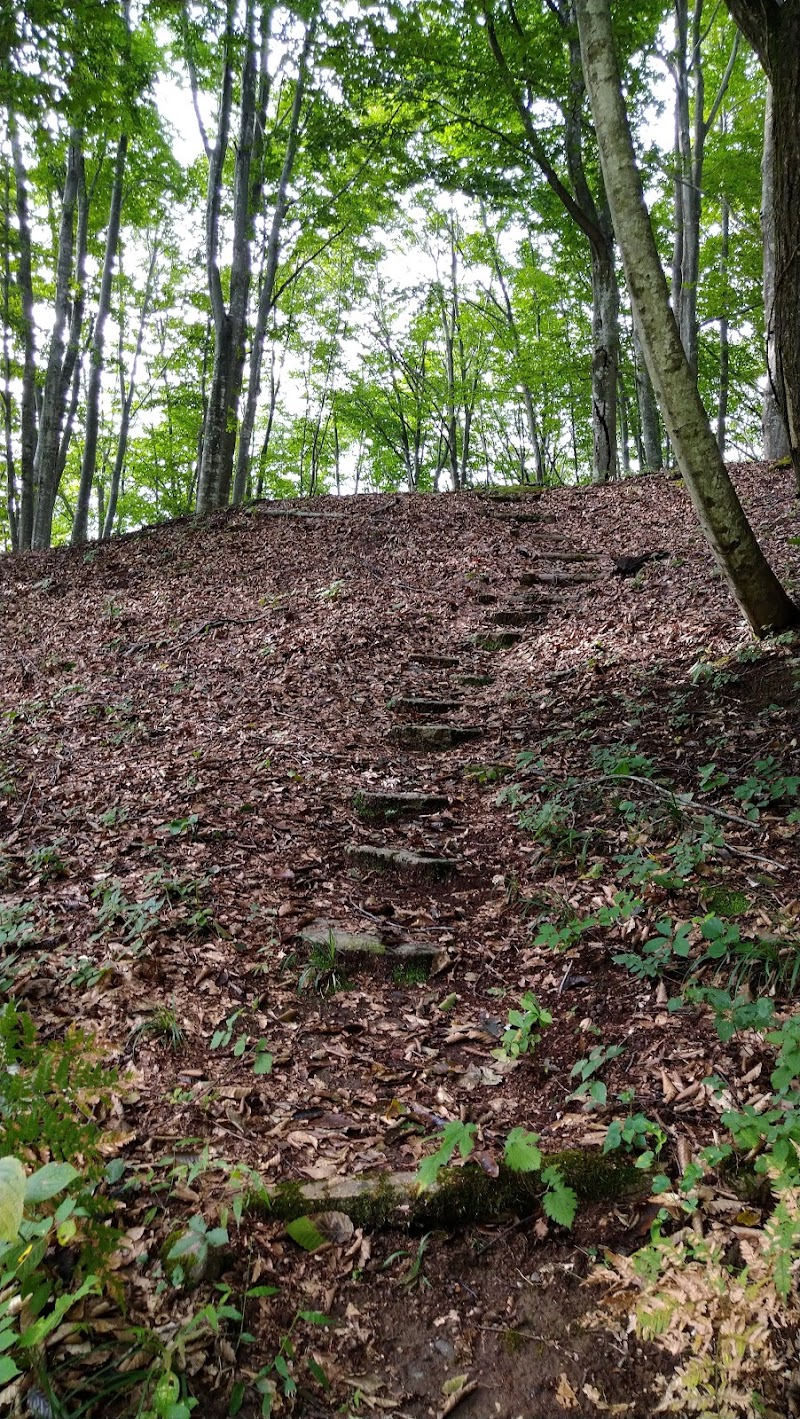 丸山森林公園