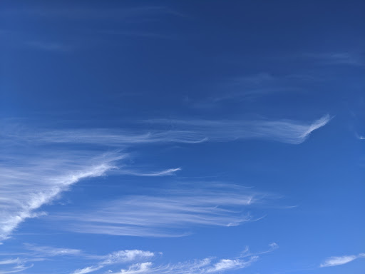 Athletic Field «Schoellkopf Field», reviews and photos, 513 Campus Rd, Ithaca, NY 14850, USA