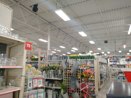 Craft Store «Michaels», reviews and photos, 20902 Frederick Rd, Germantown, MD 20876, USA