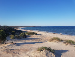 Foto di Mills Beach ubicato in zona naturale