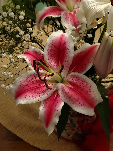 Florist «Dillon & Son Florists», reviews and photos, 180 Boston Ave, Stratford, CT 06614, USA