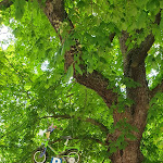 Photo n°1 de l'avis de Torsten.c fait le 06/06/2023 à 17:13 sur le  Landhotel Niederthäler Hof à Schloßböckelheim