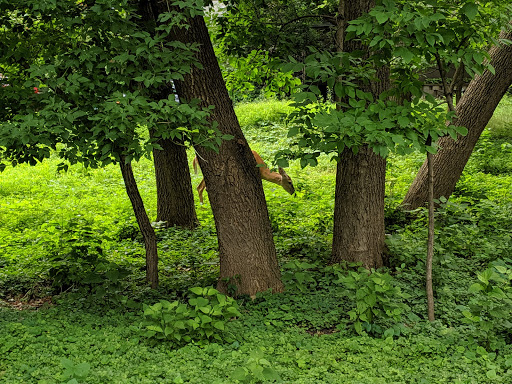 Park «Bass Lake Park», reviews and photos, 3450 Glenhurst Ave, Minneapolis, MN 55416, USA