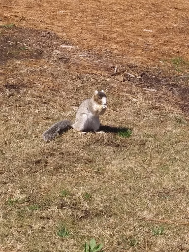 Golf Club «The Hackler Course at Coastal Carolina University», reviews and photos, 107 Citadel Dr, Conway, SC 29526, USA