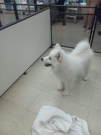 Pet Supply Store «Pet Palace Inc», reviews and photos, 253 Scranton Carbondale Hwy, Scranton, PA 18508, USA