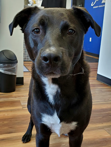 Auto Repair Shop «Schmidt Auto Care», reviews and photos, 817 W Central Ave, Springboro, OH 45066, USA