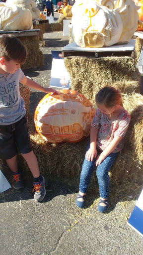 Pet Supply Store «Petco Animal Supplies», reviews and photos, 675 Deis Dr i, Fairfield, OH 45014, USA