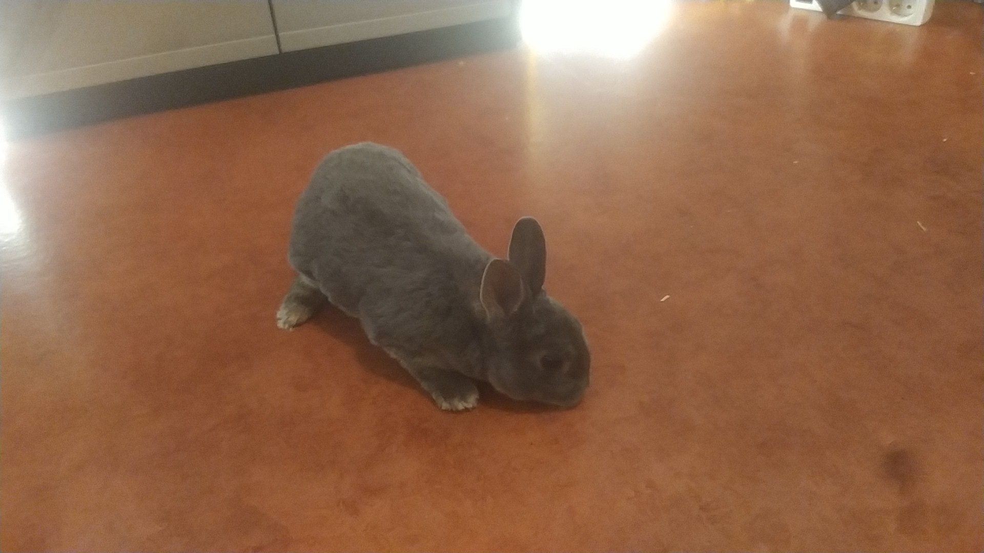 Photo n° 1 de l'avis de Tommy.e fait le 29/03/2021 à 20:07